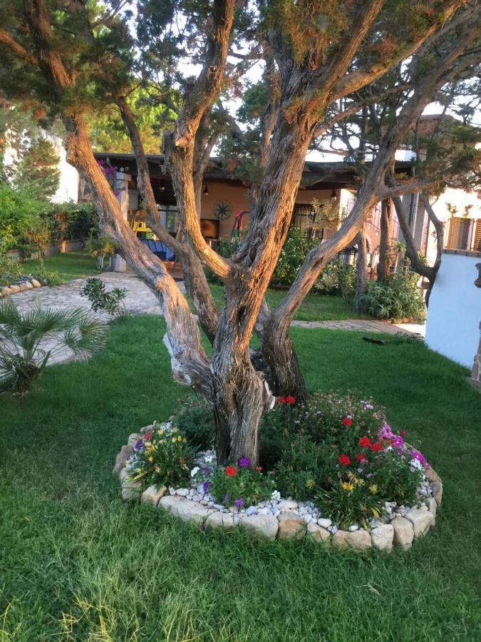 Villa Edo Cala Liberotto Exterior foto